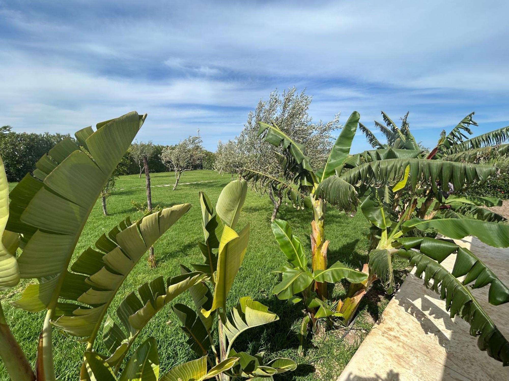 Baglio Il Gelso E L'Ulivo Appartamento Il Fico Noto Exterior foto